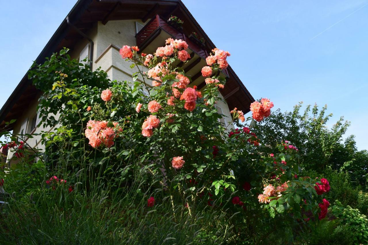 Nichtraucherferienwohnung-neckarblick Ze-2022-74-wz-118a Appartement Heidelberg