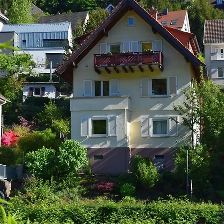 Nichtraucherferienwohnung-Neckarblick Ze-2022-74-Wz-118A Heidelberg Esterno foto