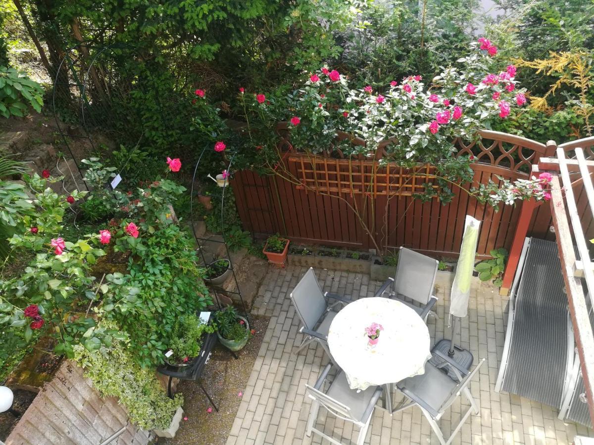 Nichtraucherferienwohnung-neckarblick Ze-2022-74-wz-118a Apartment Heidelberg