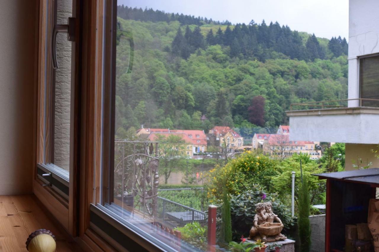 Nichtraucherferienwohnung-neckarblick Ze-2022-74-wz-118a Apartment
